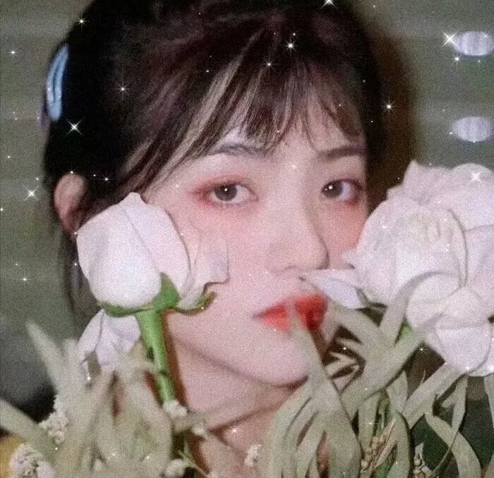 魔鬼与修女 封面